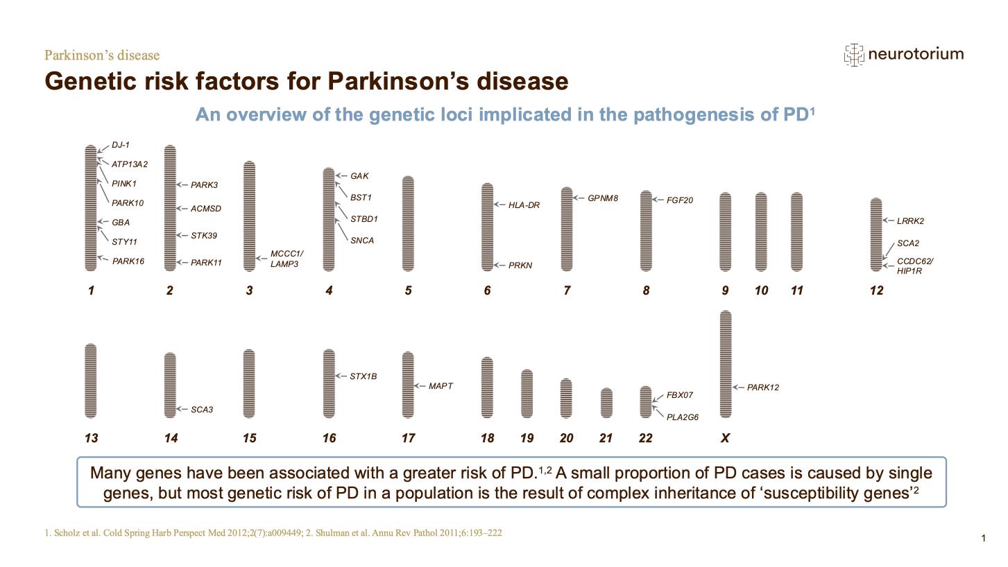 Parkinsons Disease – Neurobiology and Aetiology – slide 24